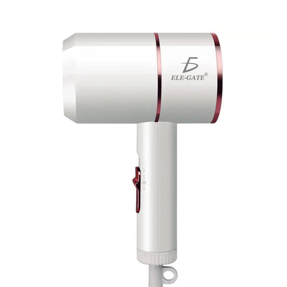 Portable Professional Hair Dryer 2000W Brushless DC Motor High-Speed Styling Diffuser Nozzle for Household Hotel Use Custom Hot